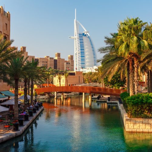 Cityscape with beautiful park with palm trees in Dubai, UAE